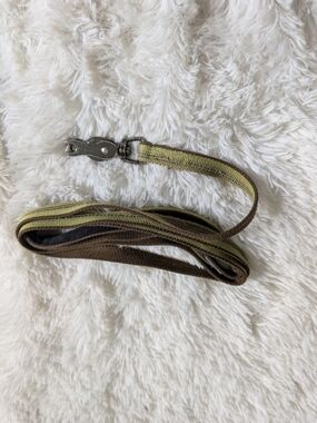 K9 Explorer Clamp Clip Green Striped Dog Leash 60"